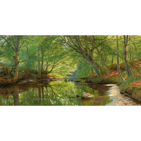 A stream through the woods