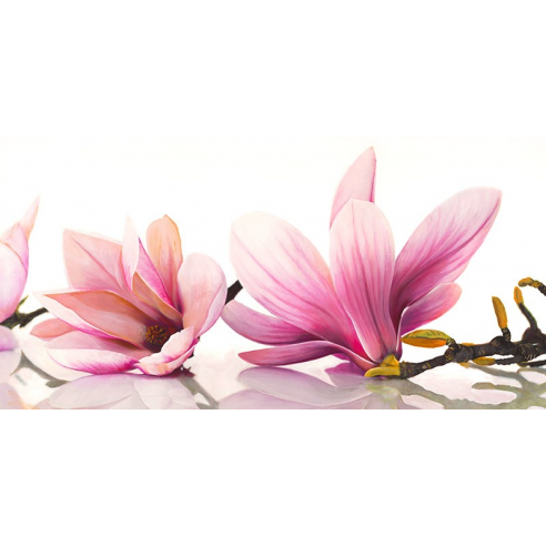 Magnolia