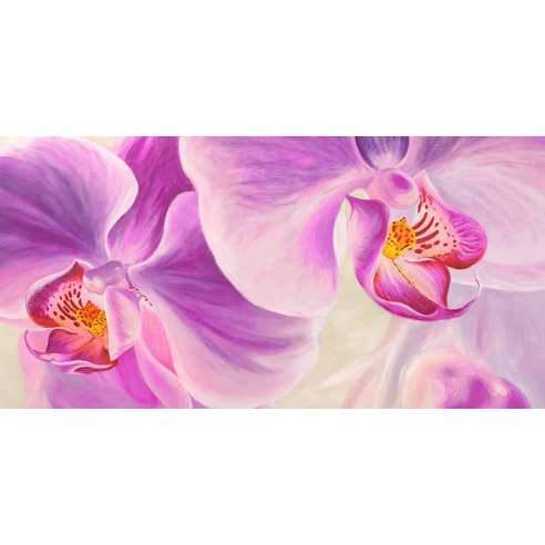 Purple Orchids