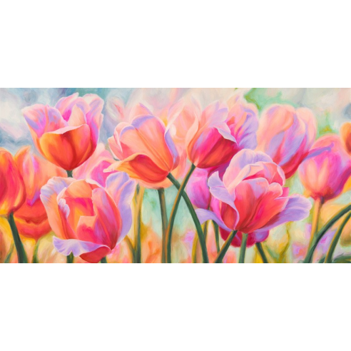 Tulips in Wonderland