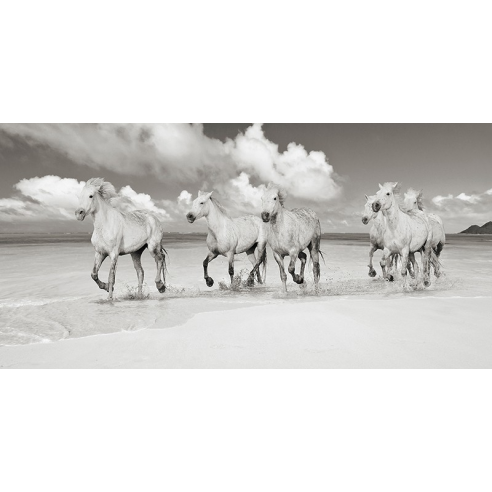 Band of Brothers, Lanikai Beach,...