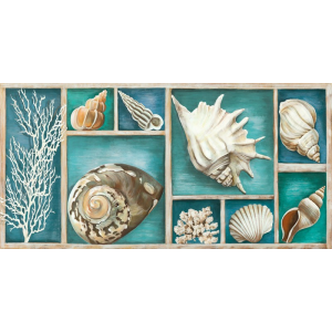 Collection of Memories