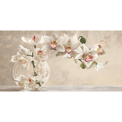 Orchid Arrangement I