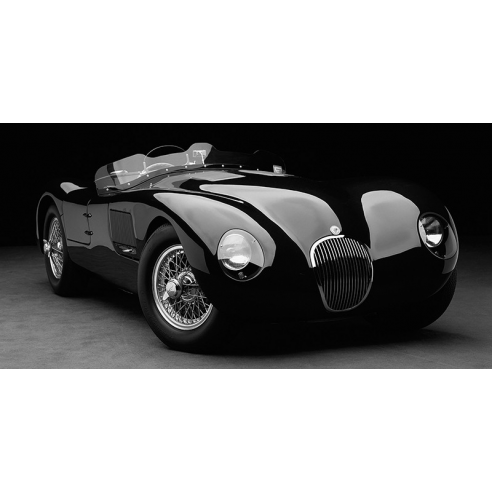 1951 Jaguar C-Type (BW)