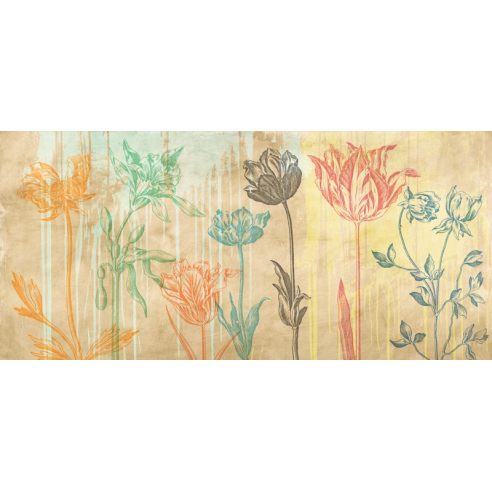 Botaniques Cochin 2 (coleurs)