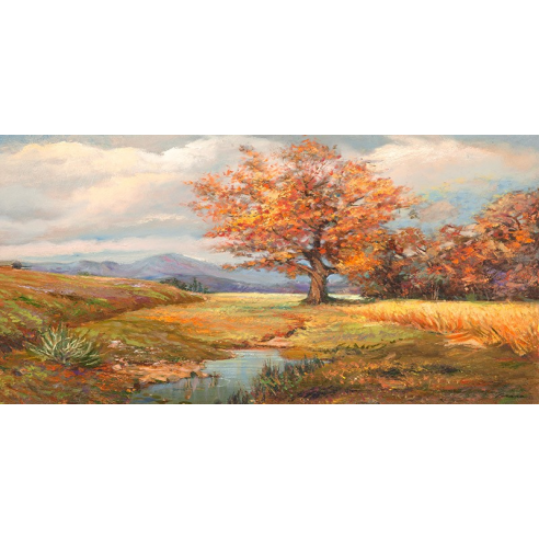 Sorgente nella radura