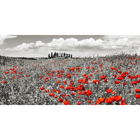 Farm house with cypresses and...