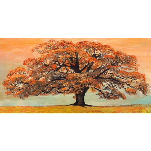 Oak