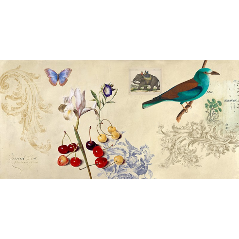 Cabinet of Curiosities I