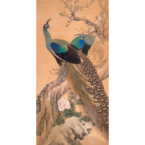 A Pair of Peacocks in Spring