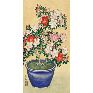 Blooming azalea in blue pot