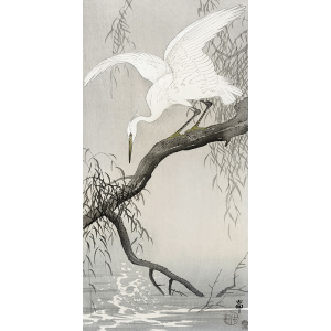 White heron on tree branch
