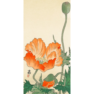 Poppies