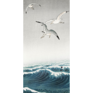 Three seagulls