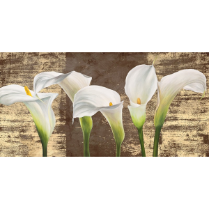 Callas on Gold (mocca...