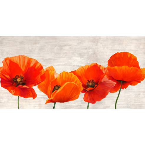 Bright Poppies