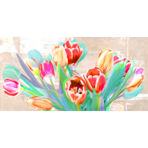 I dreamt of Tulips