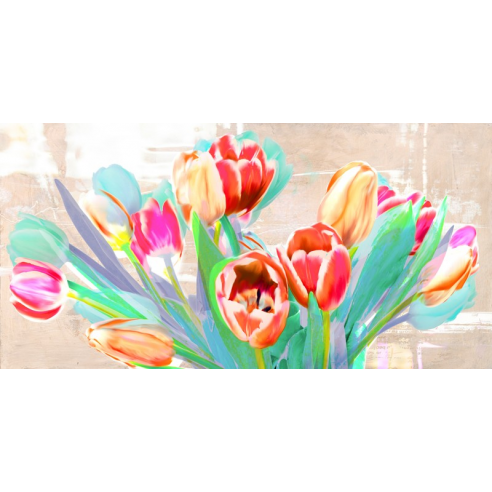 I dreamt of Tulips