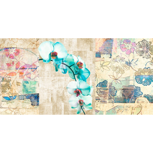 Kaleidoscope Orchid II