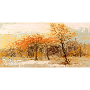 Foresta I
