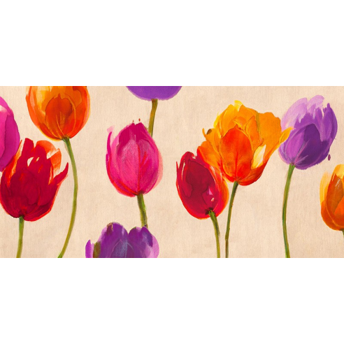 Tulips & Colors