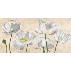Poppies in White