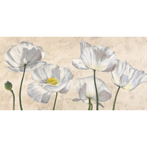 Poppies in White