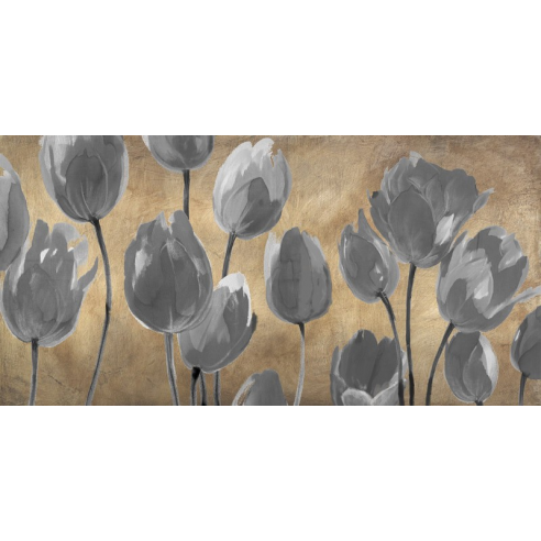 Grey Tulips