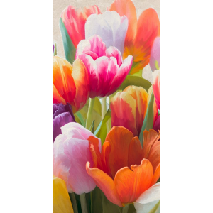 Spring Tulips II