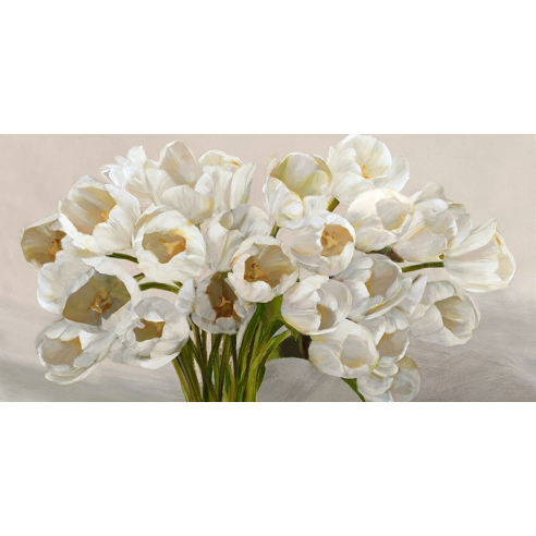 Tulipes blanches