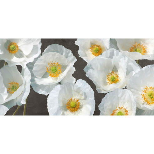 Poppy Arrangement (Chalkboard)