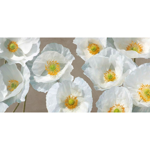 Poppy Arrangement (Taupe)