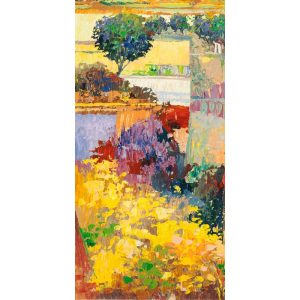 Colore dei campi II