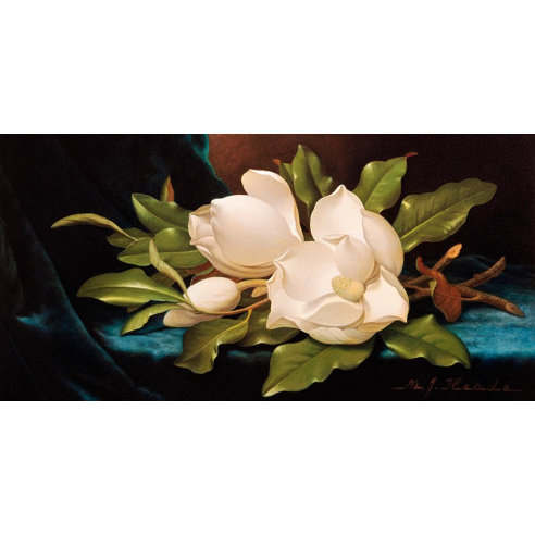 Giant Magnolias on Blue Cloth