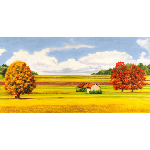 Pianure serene (detail)