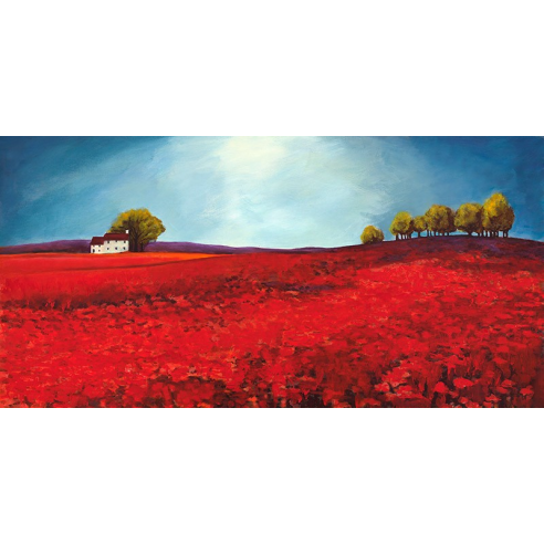 Field of poppies