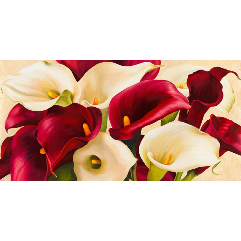 Calla composition