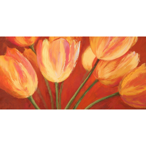 Orange Tulips