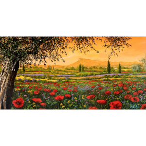 Pianura in fiore