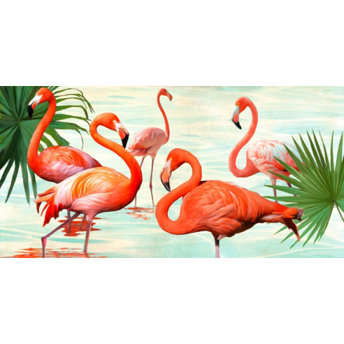 Flamingos