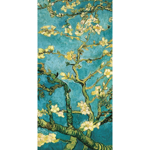 Mandorlo in fiore II