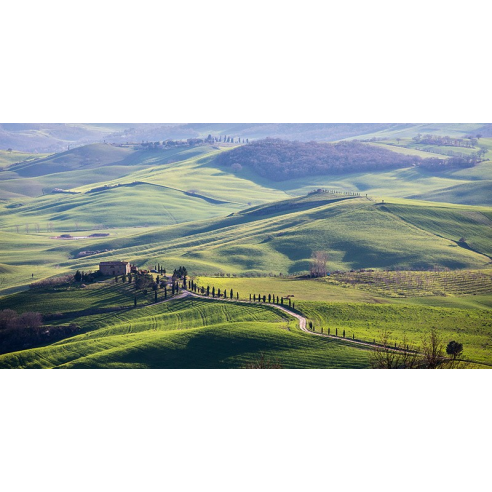 A road in Tuscany