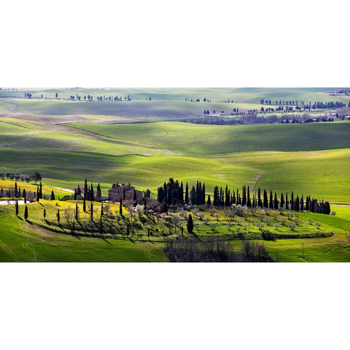 Country houses in Tuscany