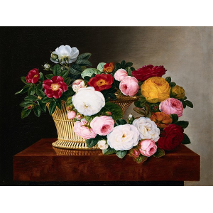 Still Life of Roses