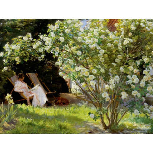 Seated in the garden of roses