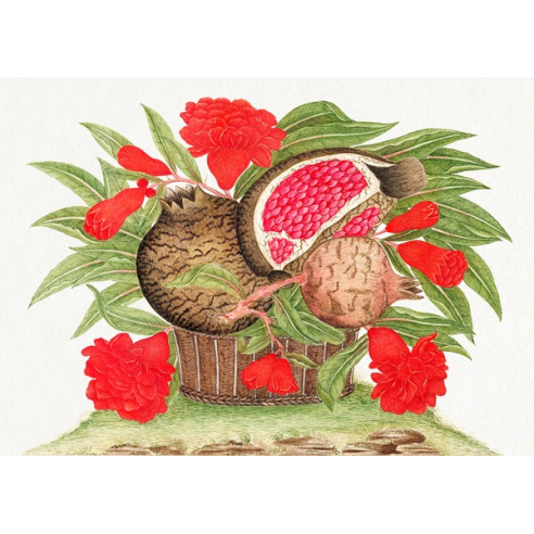 Basket of pomegranates