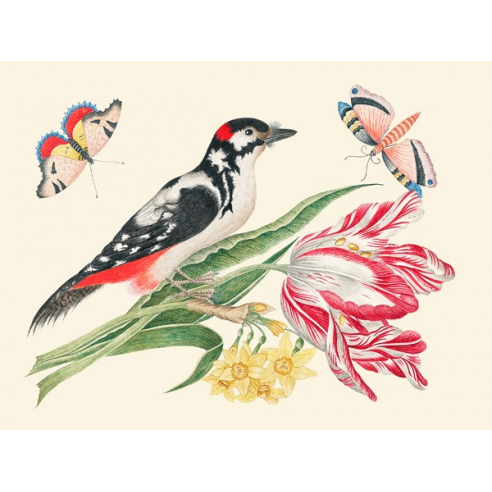 A Bird on Tulip stem with Daffodils