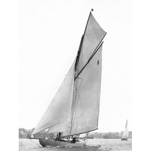 Sailing in Sydney Harbour