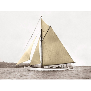 Yacht on Sydney Harbour