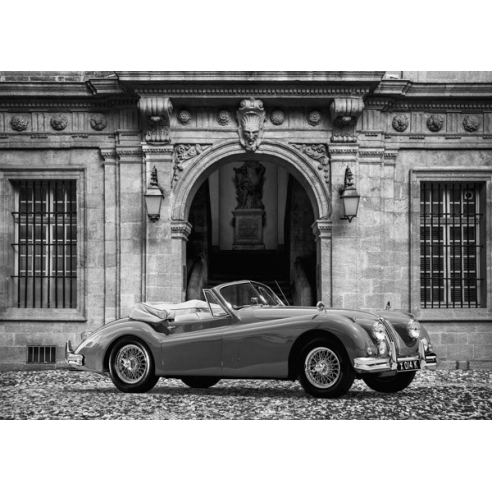 Luxury Car in front of Classic Palace...
